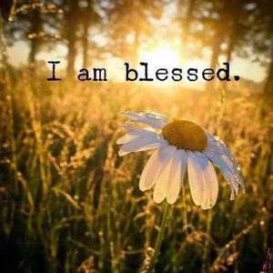 Meet your Posher, Robyn